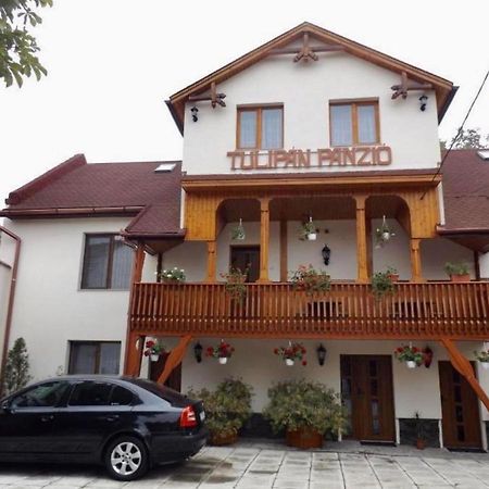 Bed and Breakfast Tulipan Panzio à Sfântu-Gheorghe Extérieur photo