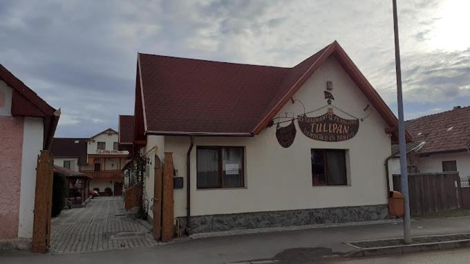 Bed and Breakfast Tulipan Panzio à Sfântu-Gheorghe Extérieur photo